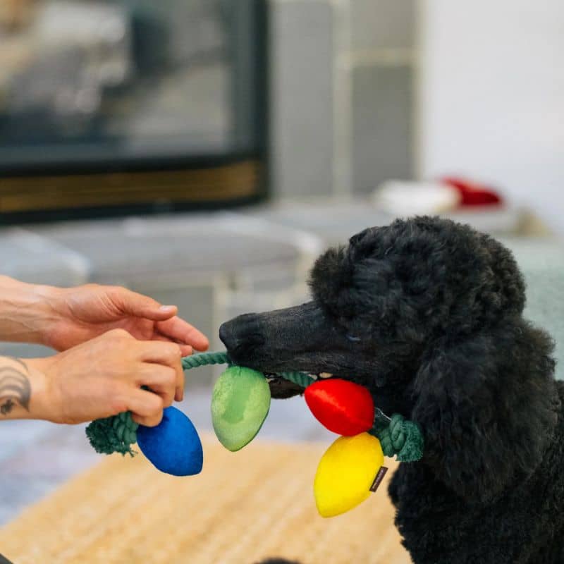 jouet peluche de Noël pour chien en forme de guirlande "Home for the holidays twinkly tucker" par la marque Play