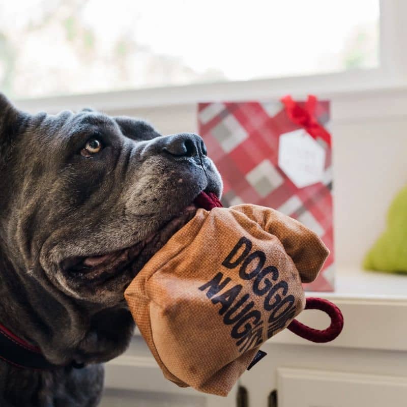 Jouet de fouille de la marque Play dans une hotte de Noël doggone naughty