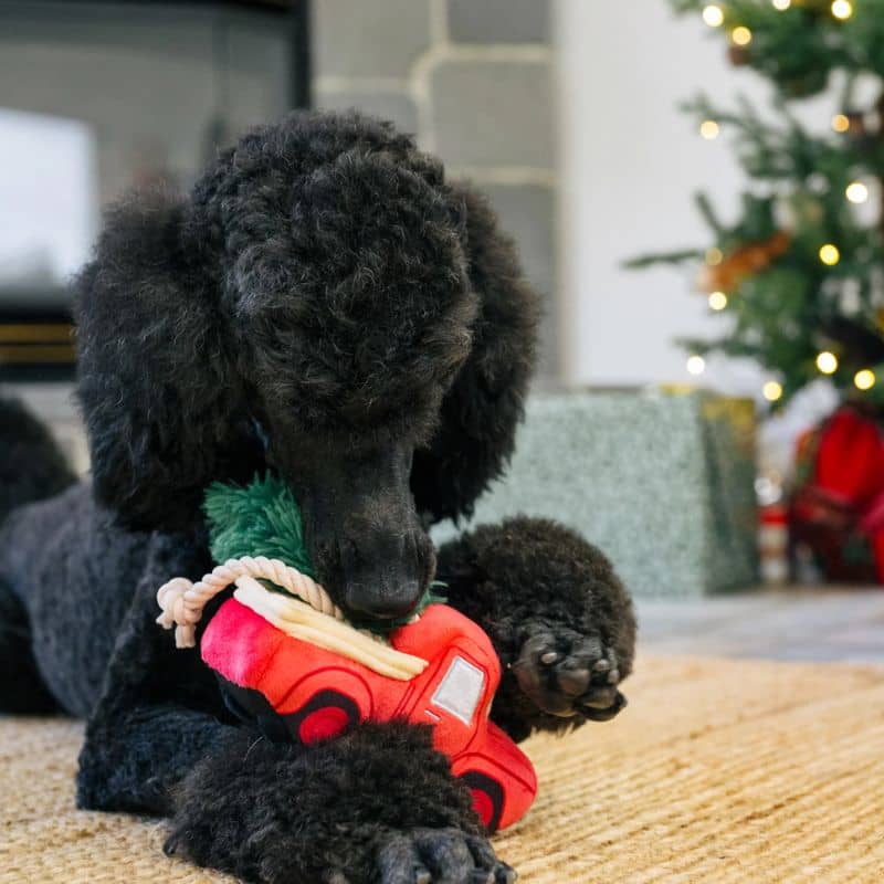 jouet peluche de Noël pour chien en forme de camion rouge transportant un sapin "Home for the holidays hauler" par la marque Play