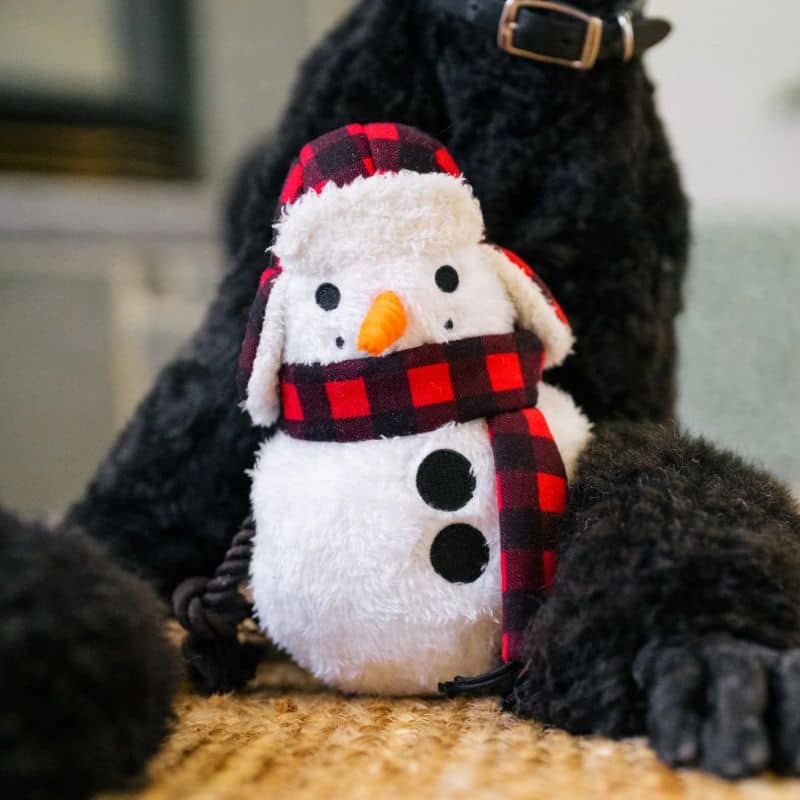 jouet peluche de Noël pour chien en forme de bonhomme de neige "Home for the holidays blizzard buddy" par la marque Play