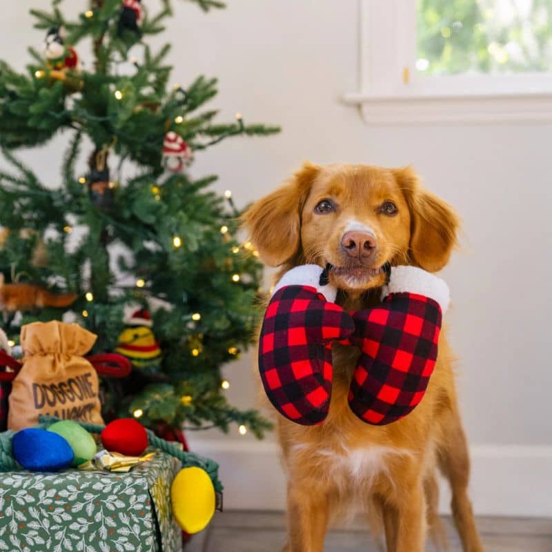 jouet peluche de Noël pour chien en forme de moufles à carreaux rouge "Home for the holidays paw warmers" par la marque Play