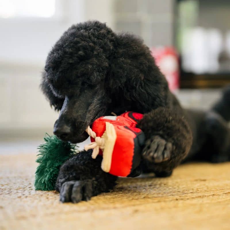 jouet peluche de Noël pour chien en forme de camion rouge transportant un sapin "Home for the holidays hauler" par la marque Play