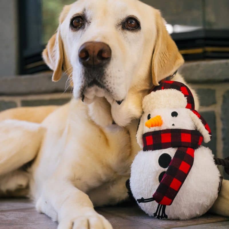 jouet peluche de Noël pour chien en forme de bonhomme de neige "Home for the holidays blizzard buddy" par la marque Play