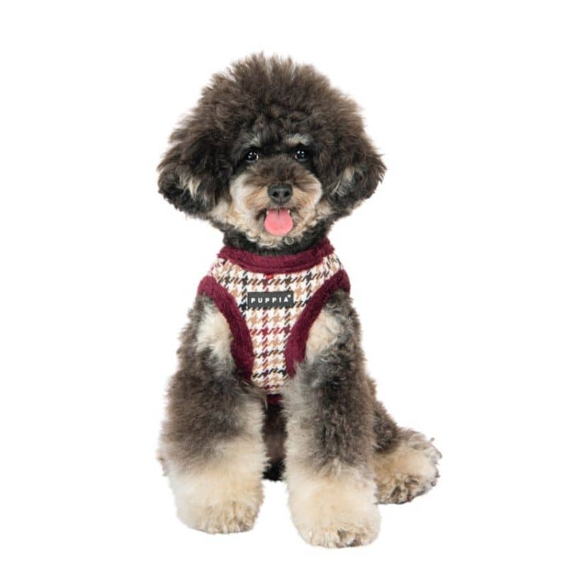 Chien avec harnais pour chien motif pied de poule bordeaux avec fourrure pour l'hiver