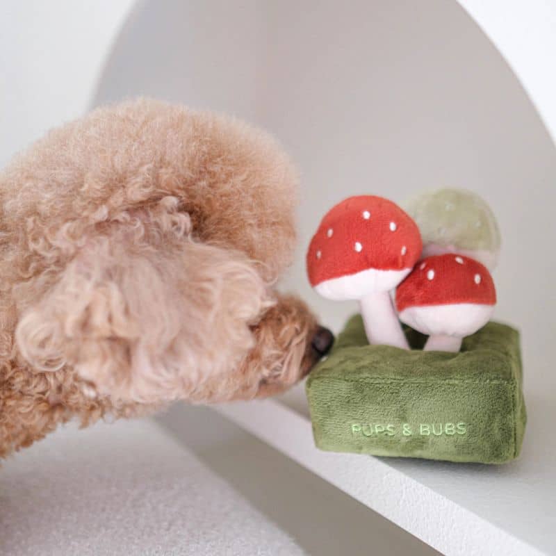 Jouet peluche interactif de la marque Pups & Bubs pour chien en forme de champignon pour occuper son chien idéal pour les absences