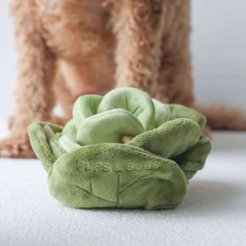 Jouet de fouille Pups & Bubs pour chien "Snuffle Cabbage" en forme de chou pour cacher des friandises entre les feuilles