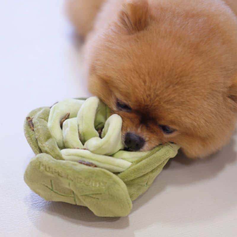 Jouet Pups & Bubs pour chien "Snuffle Cabbage" en forme de chou pour cacher des friandises pour le faire réfléchir et développer son flair