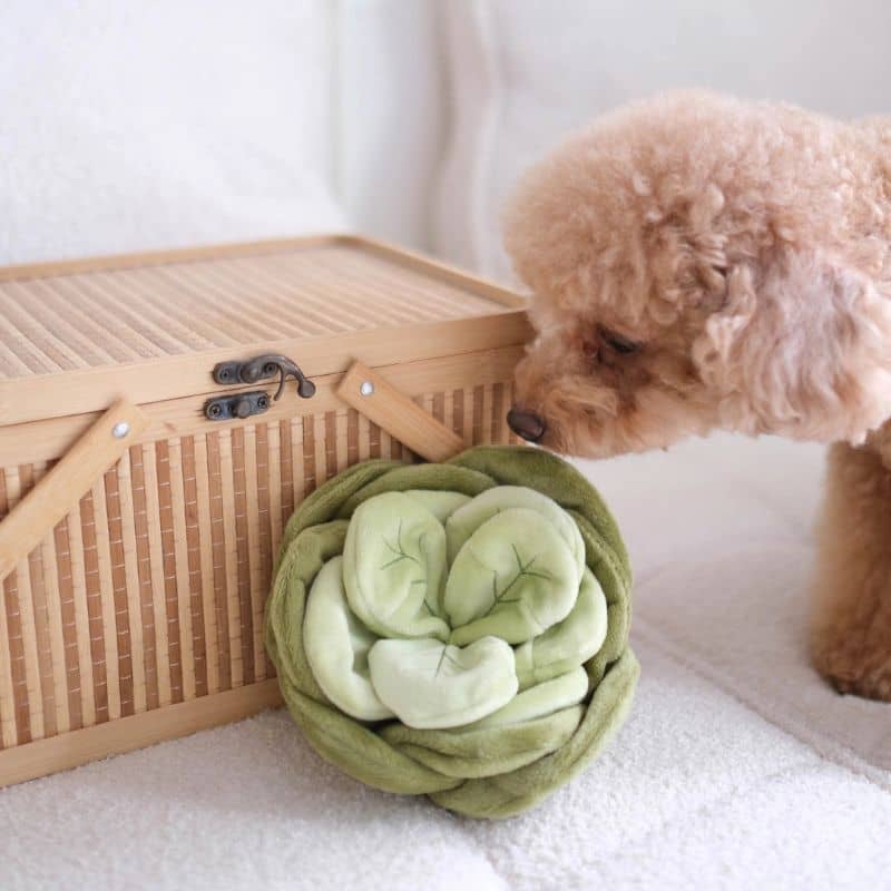 Jouet Pups & Bubs pour chien "Snuffle Cabbage" en forme de chou pour cacher des friandises en matière doudou