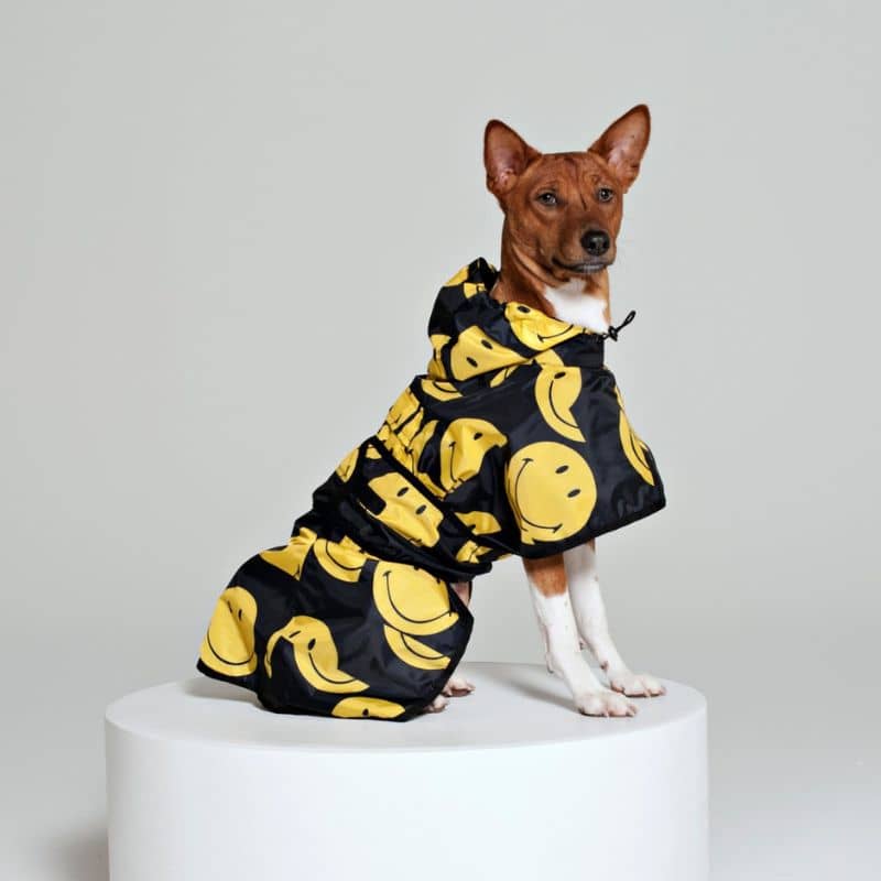 Chien avec imperméable smiley poncho de Rain kiss