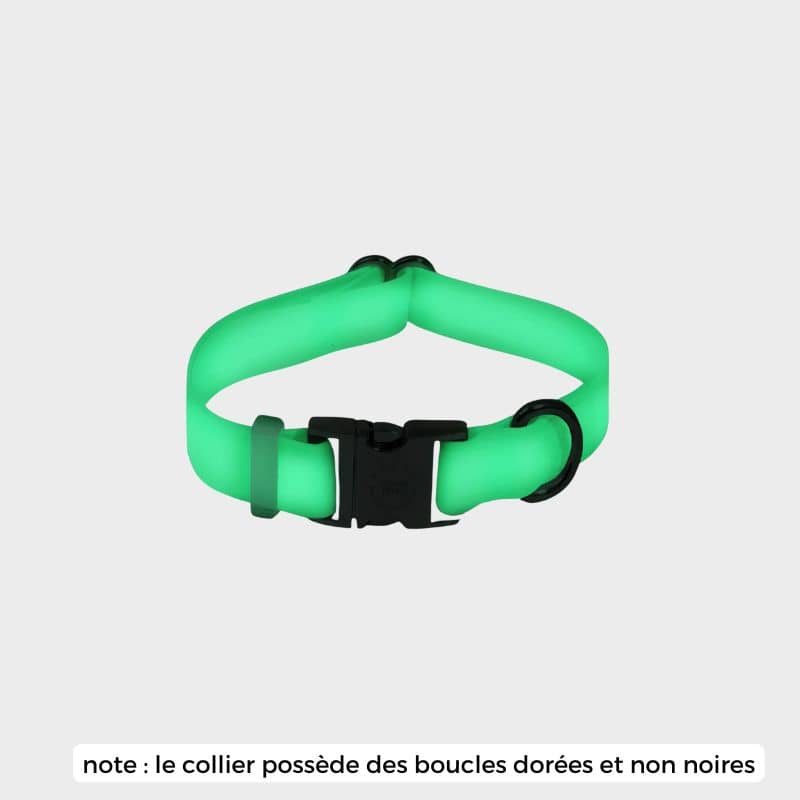 Collier pour chien phosphorescent qui brille dans le noir