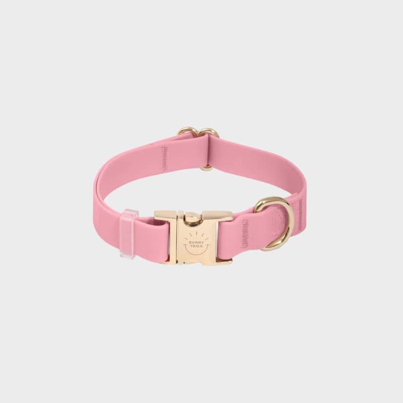 Collier pour chien waterproof en perfect pink de Shop Sunny Tails