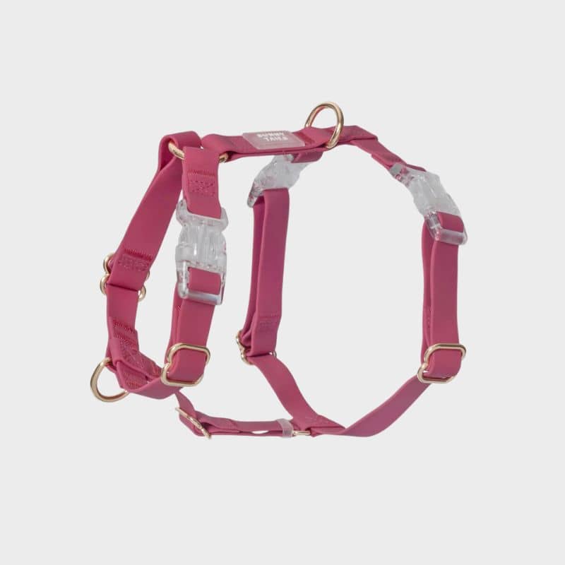 HARNAIS POUR CHIEN WATERPROOF SHOP SUNNY TAILS - FRAMBOISE – THE WOUF