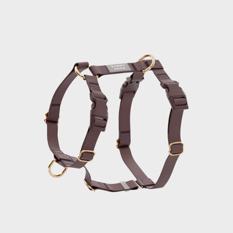 Harnais Shop Sunny Tails en couleur espresso marron brown qui respecte l'anatomie du chien en balade