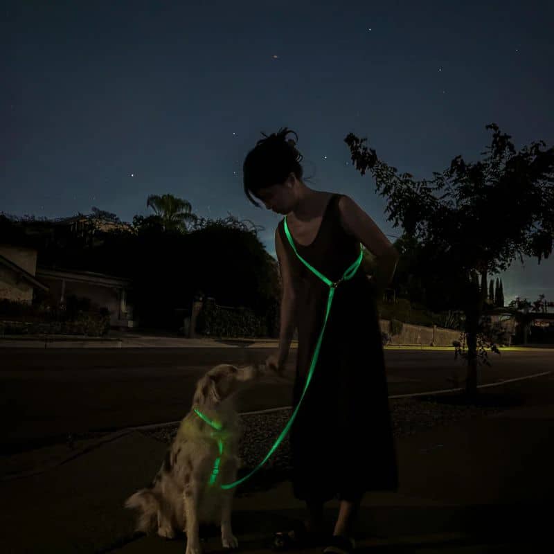 Laisse pour chien en position hands free phosphorescent "Lunar Glow"