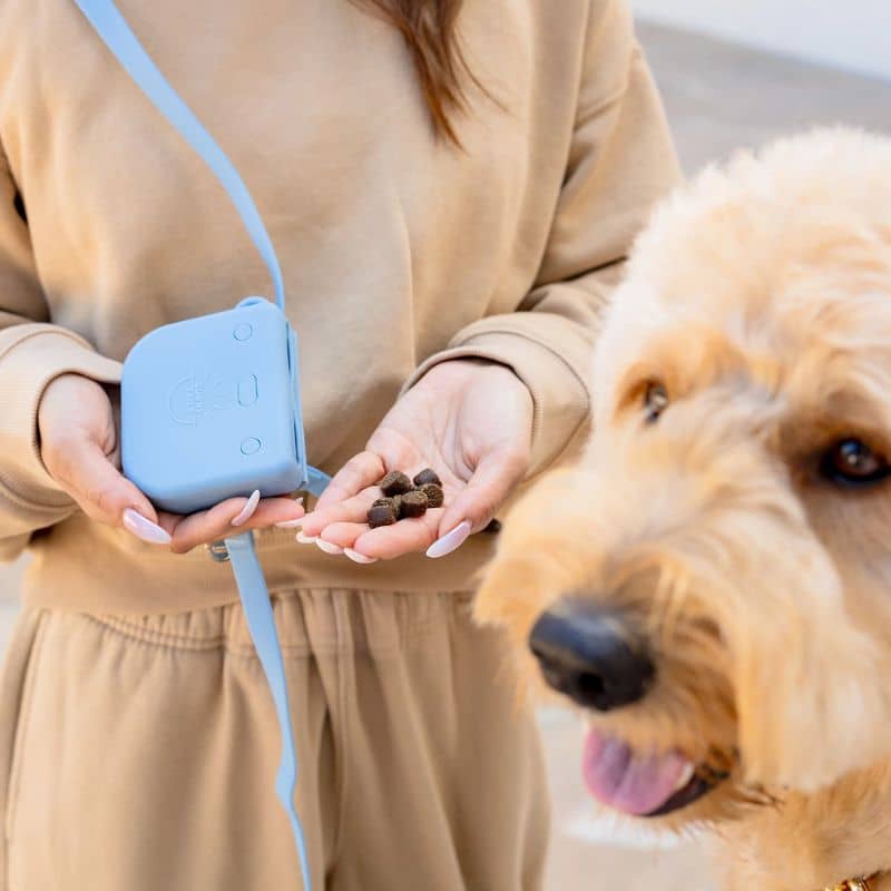 Pochette à friandises Sunny Tails pour ranger les récompenses de votre chien en silicone avec fermeture aimantée pour les balades