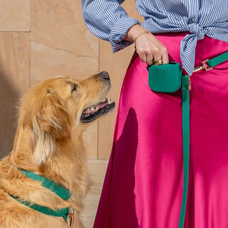 Pochette à friandises Sunny Tails pour ranger les récompenses de votre chien en silicone avec fermeture aimantée vert sapin meadow