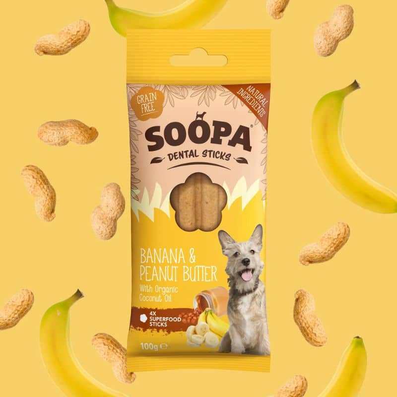 bâtonnets dentaires à mâcher à la banane et peanut butter de Soopa pour chien appétissant