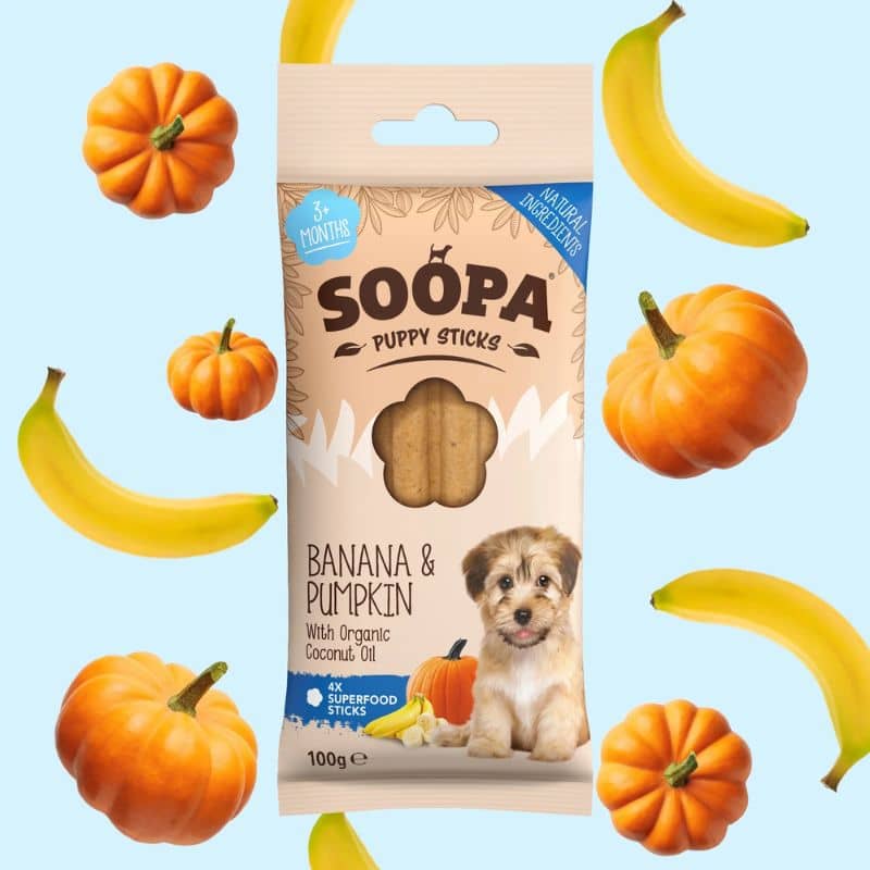 bâtonnets dentaires à mâcher à la banane et critrouille de Soopa  pour chiot