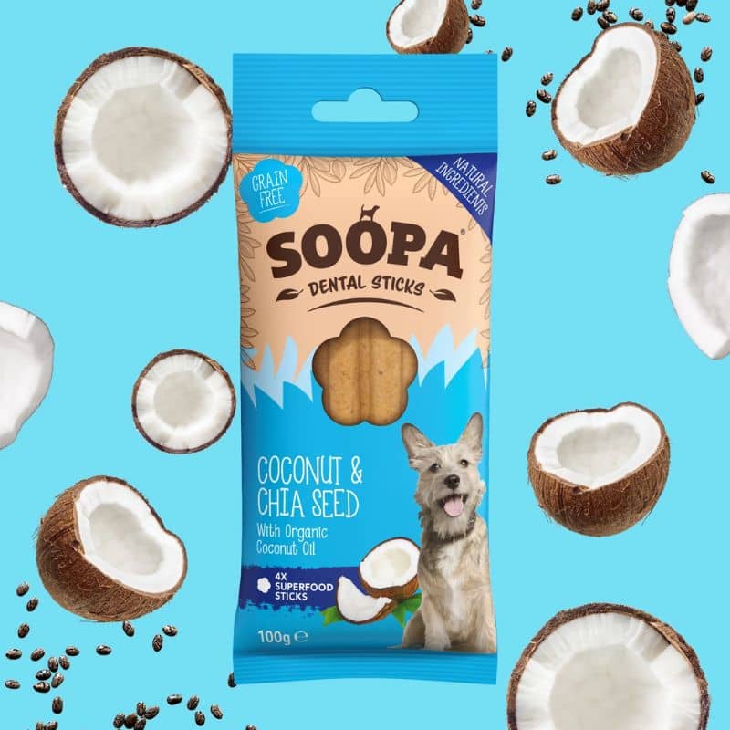 bâtonnets dentaires à mâcher à la noix de coco et graines de chia de Soopa pour chien