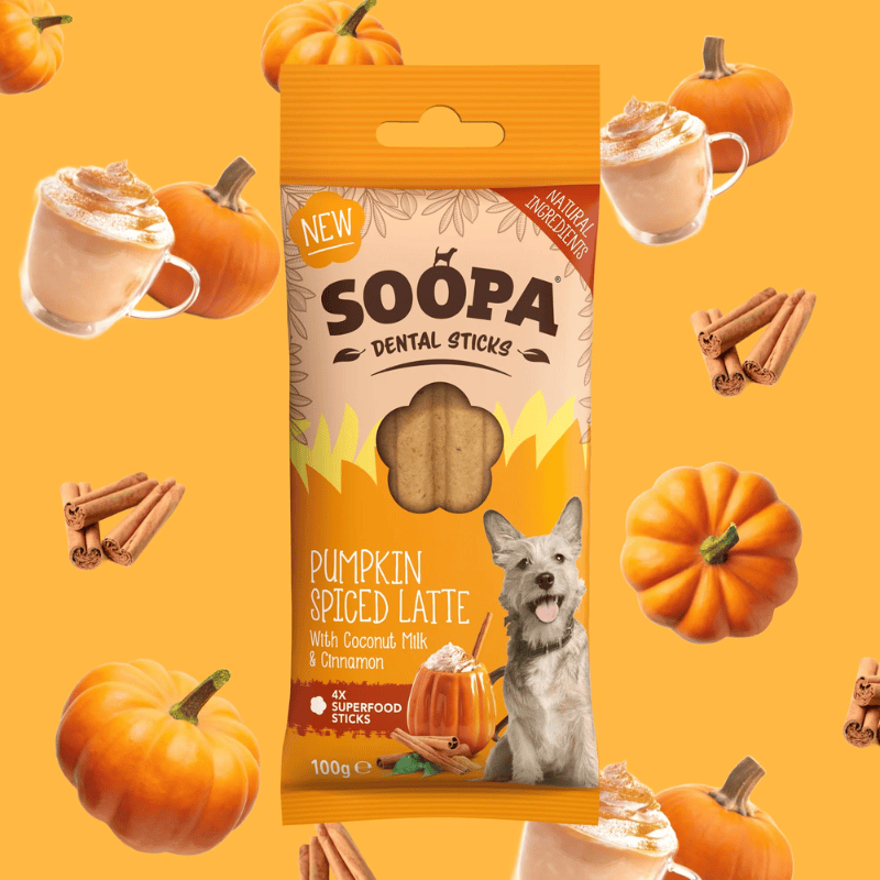 Stick dentaire pour chien à base de cannelle et citrouille de la marque Soopa * edition limitée Pumpkin spiced latte