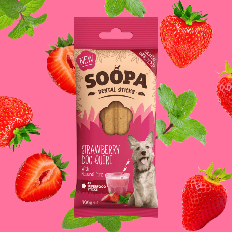 Stick dentaire à base de fraise et de menthe pour chien de la marque Soopa