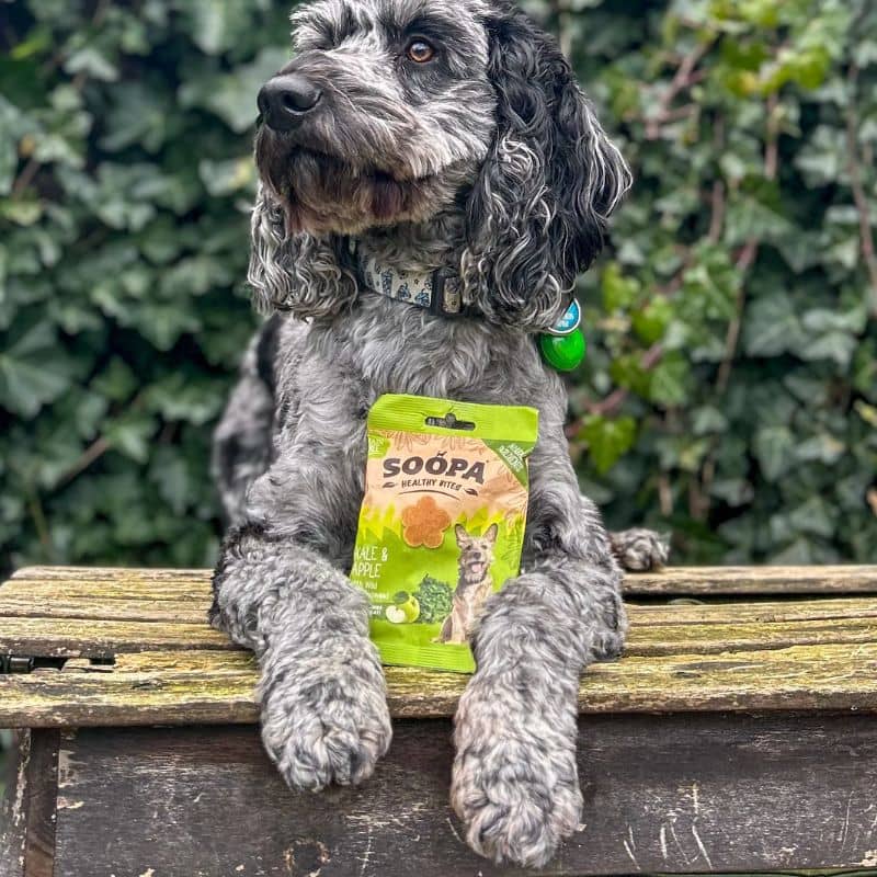 Friandises healthy Bites de la marque Soopa au chou et à la pomme pour chien