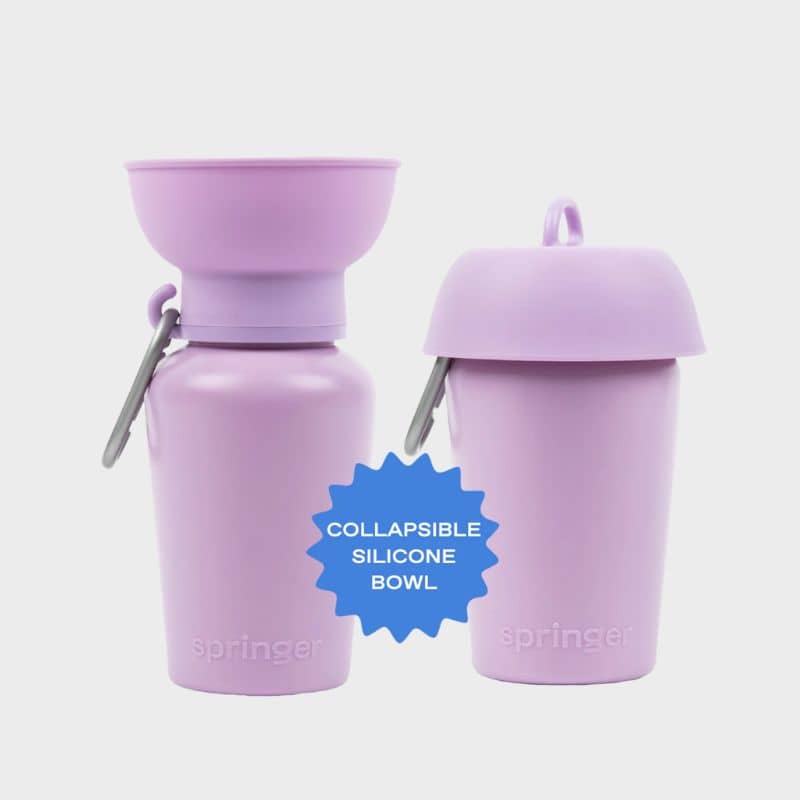 Spinger Flip Dog travel bottle - gourde flip Springer avec réservoir distributeur d'eau rétractable lilas