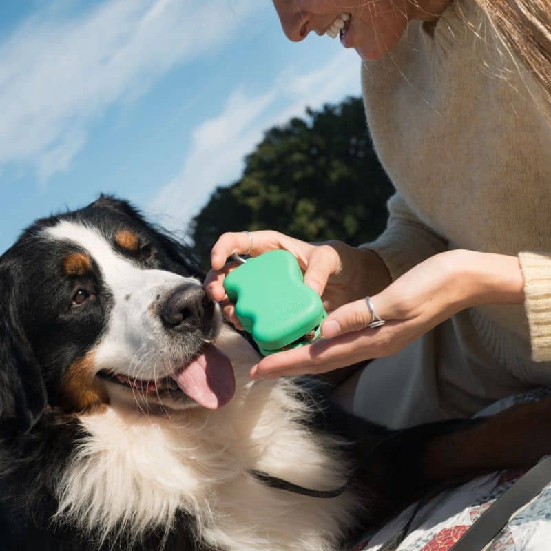 Chien avec son maître et une pochette à friandises pour l'éducation du chien en silicone