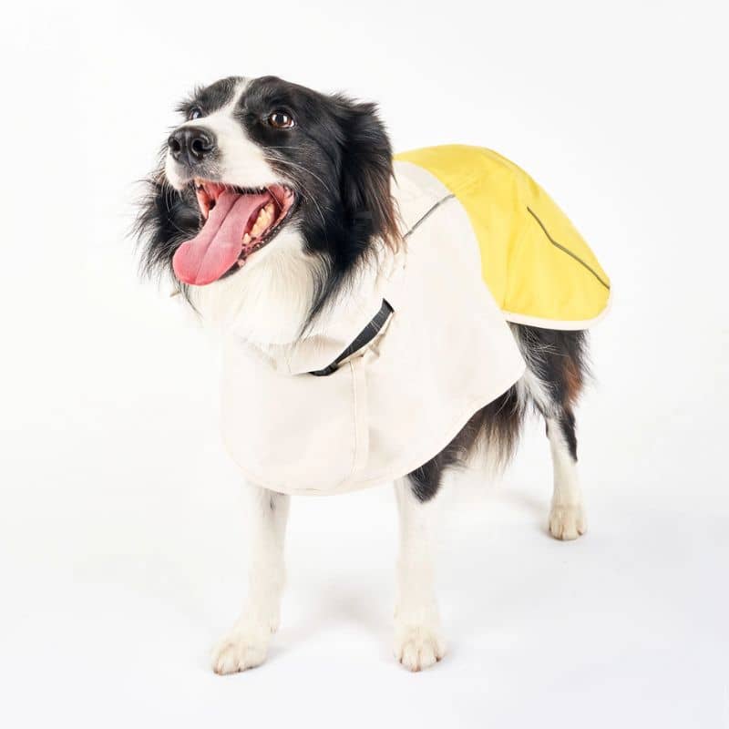 Imperméable Venture pour chien de The Furryfolks