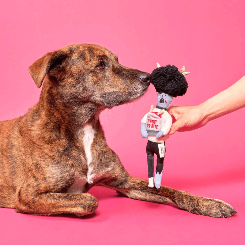 jouet d'occupation pour chien peluche de flair avec cachettes à friandises en forme de zombie Halloween The Furryfolks