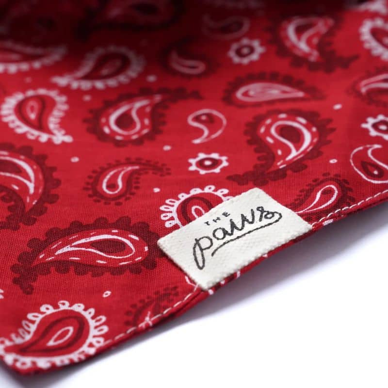 Détail du bandana pour chien motif cachemire rouge Dallas de The Paws