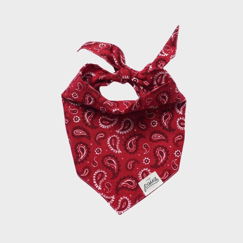 Bandana pour chien motif cachemire rouge Dallas de The Paws