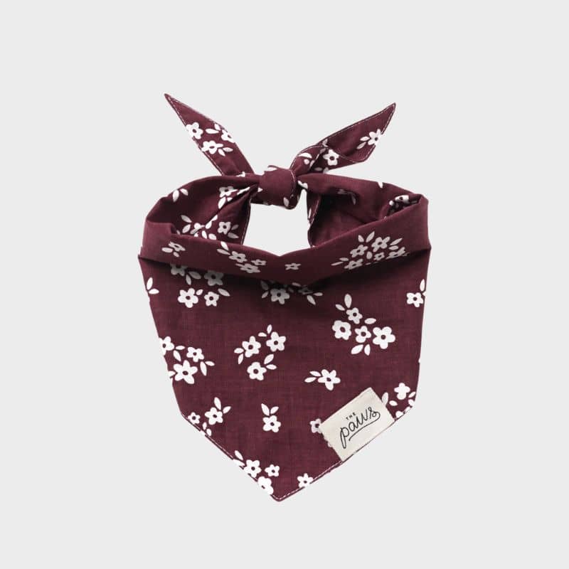 Bandana pour chien motif fleurs bordeaux de the paws