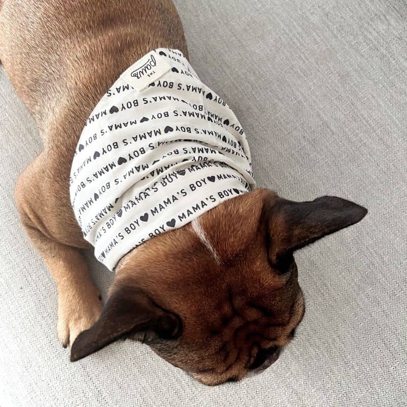 Bouledogue français avec bandana pour chien en coton mama's boy fils à maman