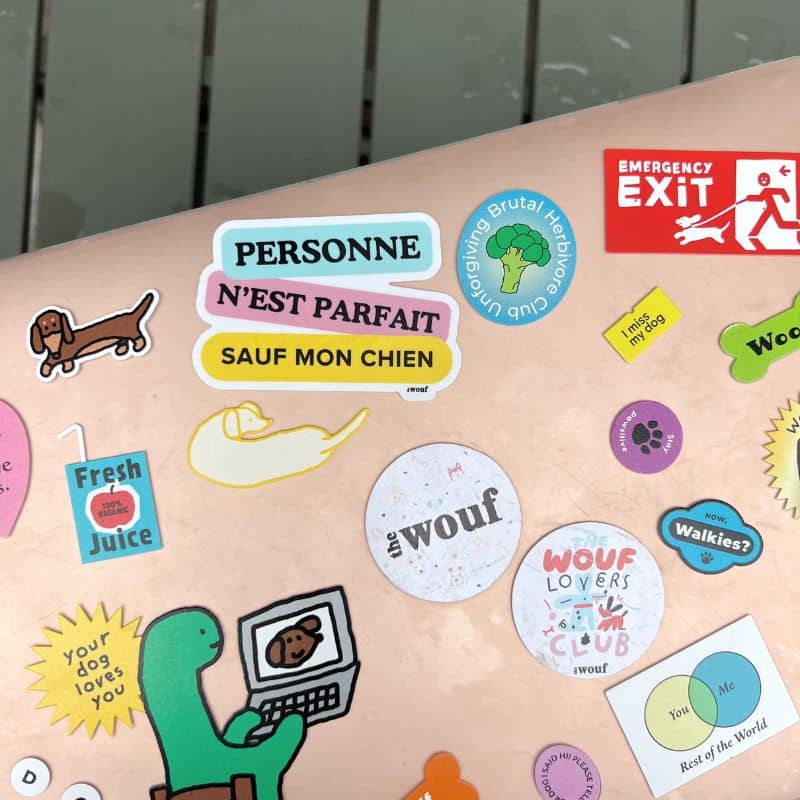 Ordinateur avec sticker the wouf "personne n'est parfait sauf mon chien"