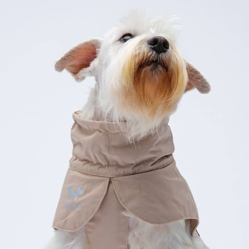 imperméable coupe-vent pour chien beige   Easy Rain marque United Pets