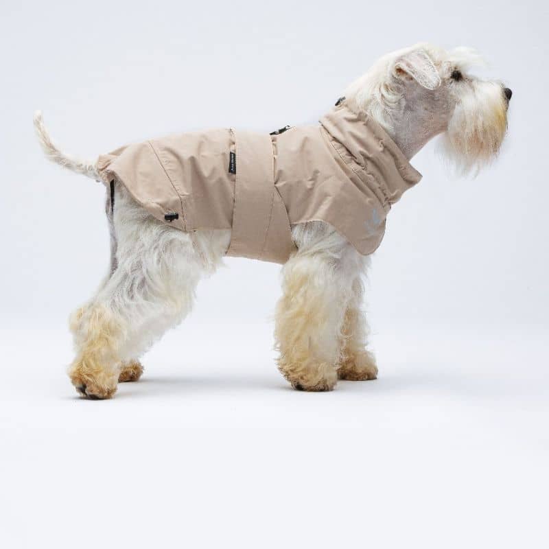 imperméable coupe-vent pour chien beige   Easy Rain marque United Pets