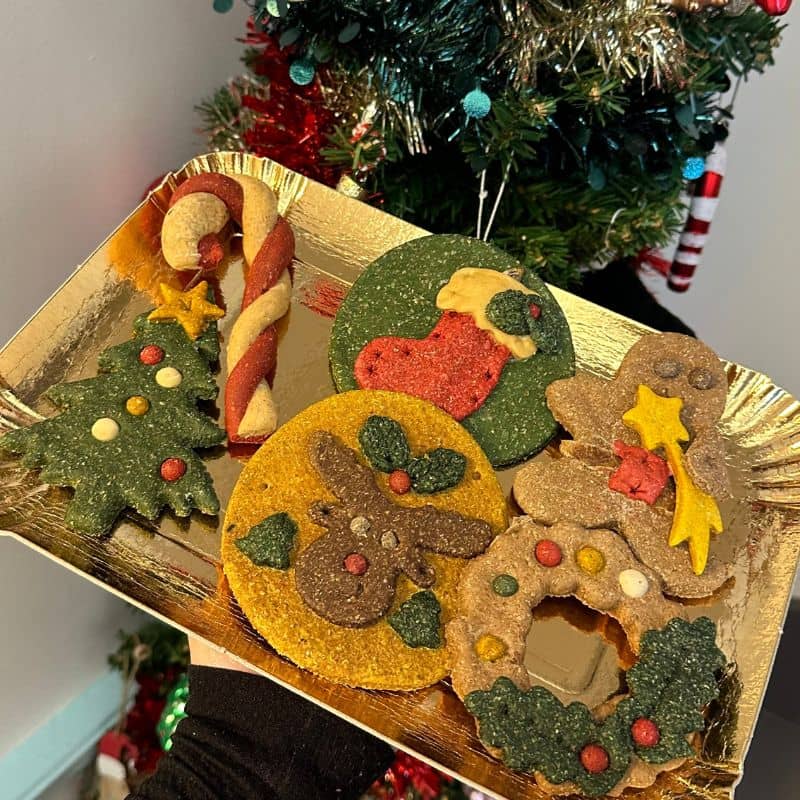 biscuits de Noel Waniyanpi pour chien en forme de chaussette, renne, candy cane, couronne, sapin et gingerbread idéal en friandise