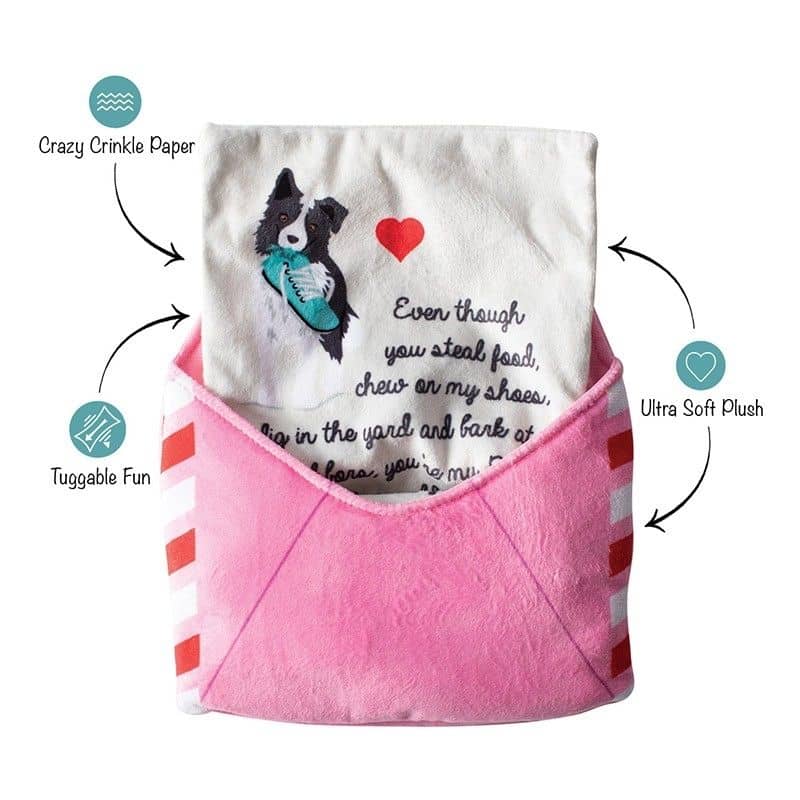 jouet interactif pour chien de la marque Fringe Petshop pour la Saint valentin "Just write for me" envellope dans laquelle cacher des friandises et lettre d'amour