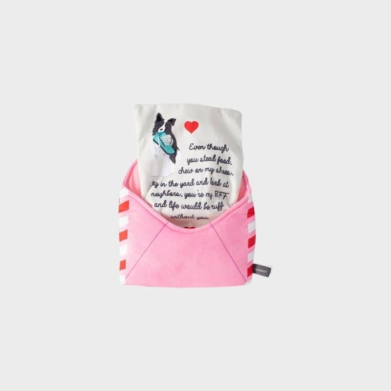 jouet interactif pour chien de la marque Fringe Petshop pour la Saint valentin "Just write for me" envellope dans laquelle cacher des friandises et lettre d'amour