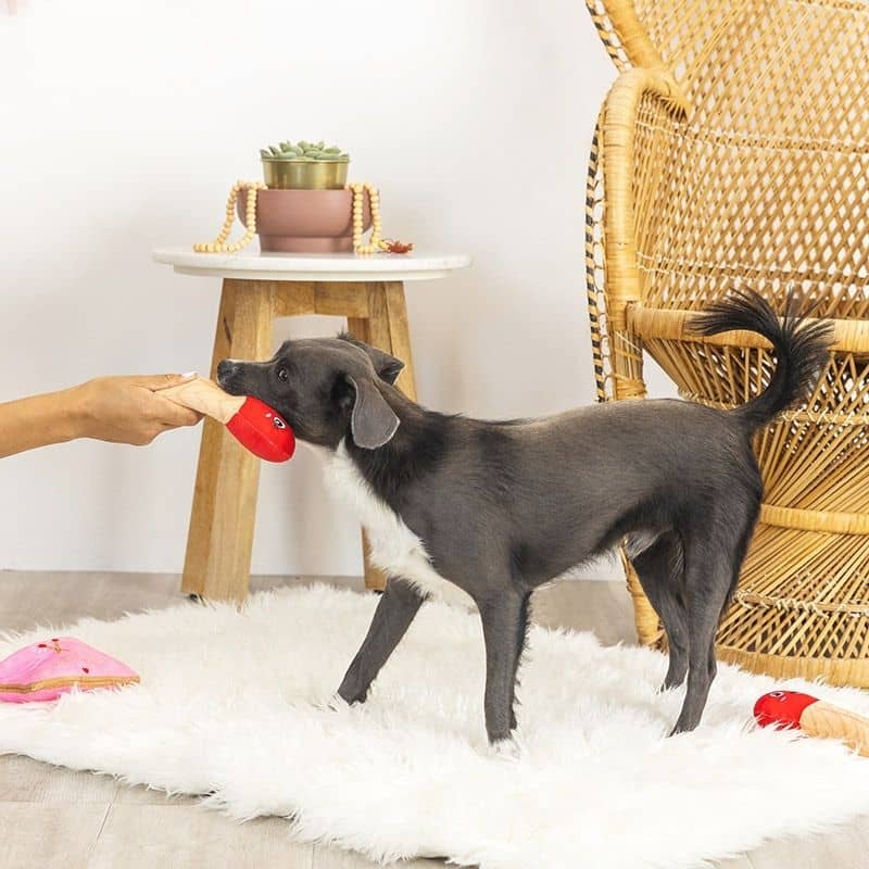 jouet interactif pour chien de la marque Fringe Petshop pour la Saint valentin "Perfect Match" boite d'allumette pour cacher des friandises et développer le flair