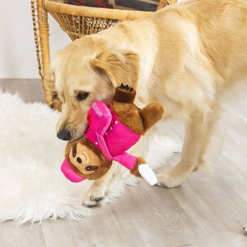 jouet peluche pour chien Saint Valentin Paresseux facteur Love On delivery