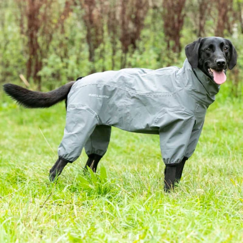 manteau kevlar chien