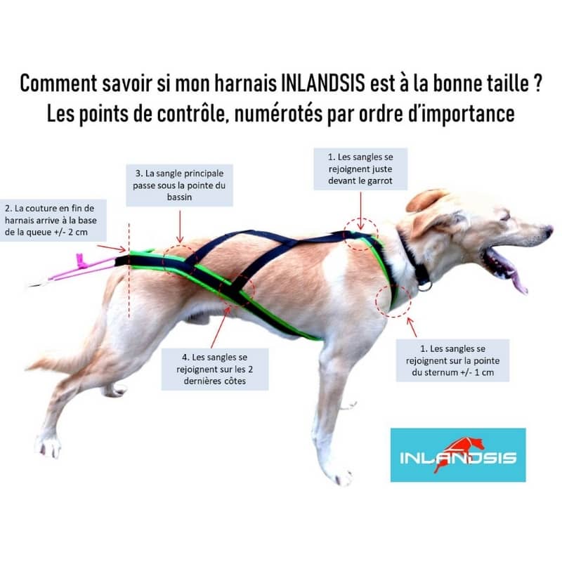 I-Dog Harnais Canicross Confort L - Harnais pour faire du Sport