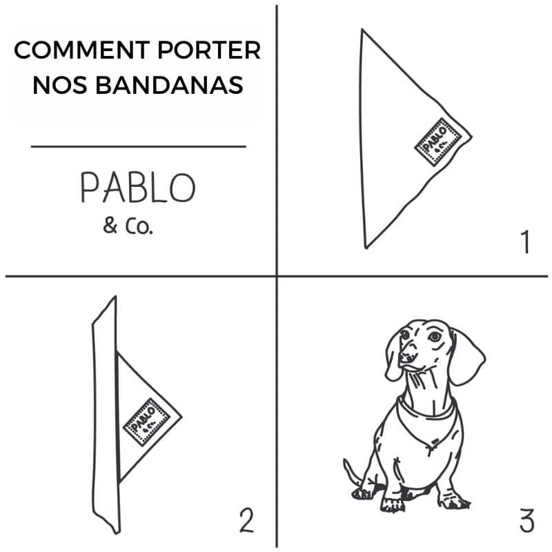 Guide : comment porter le bandana pour chien de Noel