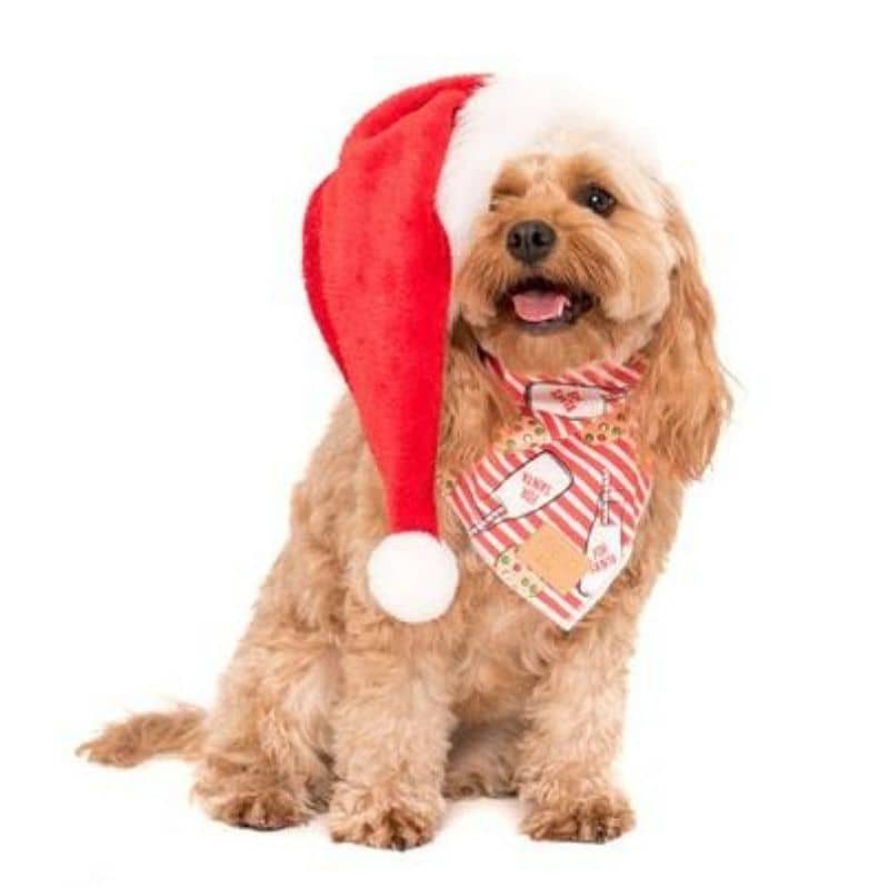 bandana pour chien “cookie de Noel” en coton