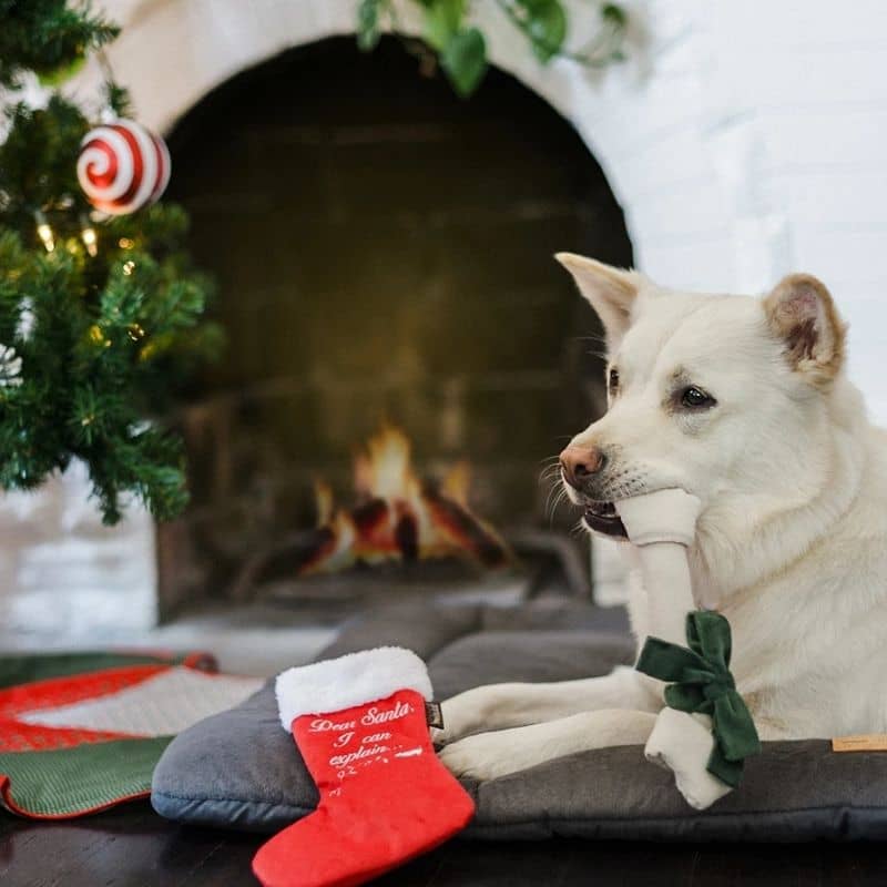 jouet de Noël pour chien chaussette de Noel PLAY