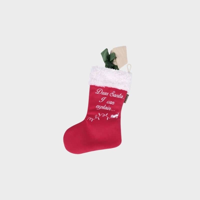 jouet de Noël pour chien "Good Dog Stocking" avec un os dans chaussette Dear Santa I can explain PLAY