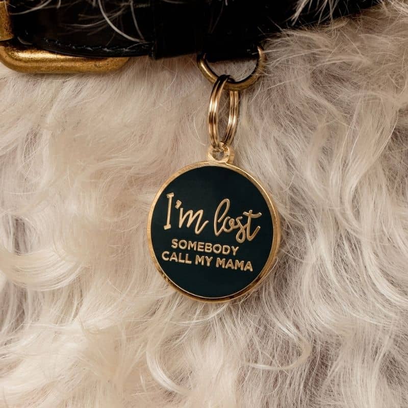 https://www.thewouf.fr/cdn/shop/products/two-tails-medaille-pour-chien-call-my-mama-or.jpg?v=1639153280